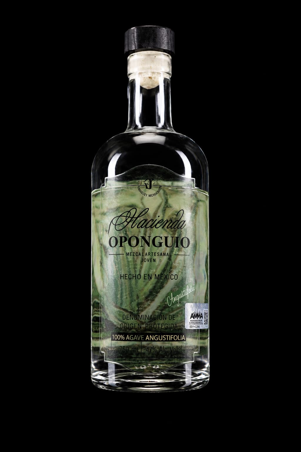Mezcal Oponguio Angustifolia